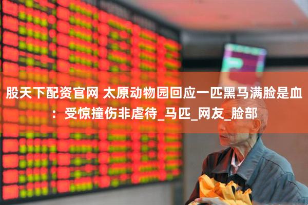 股天下配资官网 太原动物园回应一匹黑马满脸是血：受惊撞伤非虐待_马匹_网友_脸部