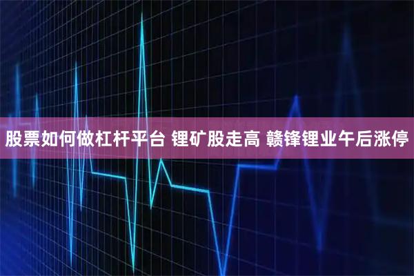 股票如何做杠杆平台 锂矿股走高 赣锋锂业午后涨停